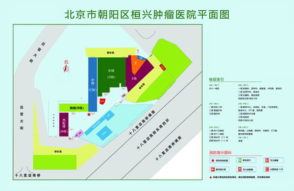 大鸡巴操穴白浆视频北京市朝阳区桓兴肿瘤医院平面图